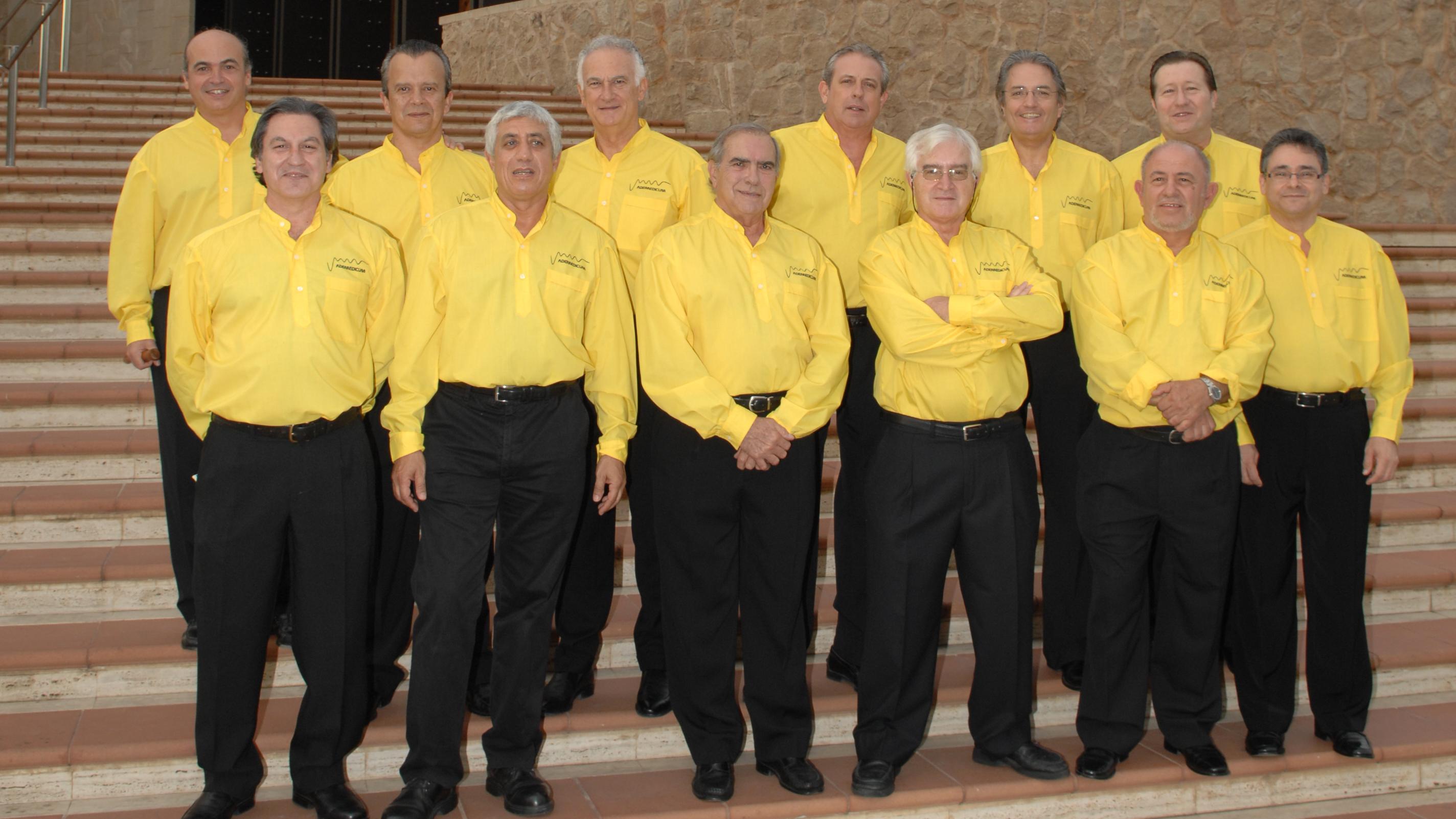 Miembros del grupo musical Vademedicum