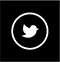 Logo Twitter